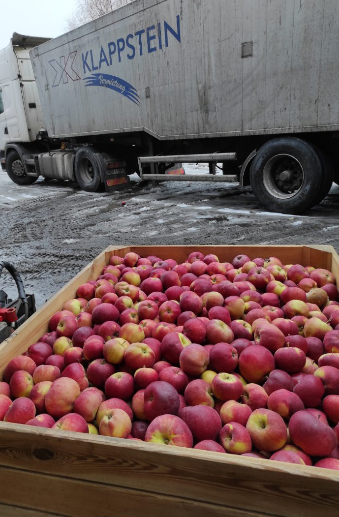 Nadzwyczajna pomoc dostosowawcza dla producentów jabłek - sprawdź warunki uczestnictwa w mechanizmie