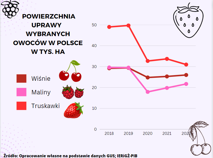 Jak wygląda powierzchnia upraw owoców w Polsce?