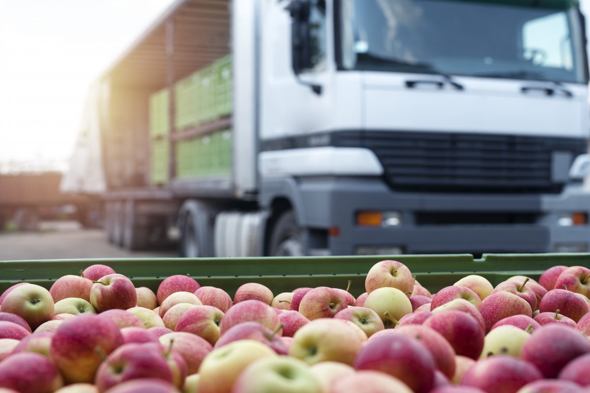 Świat: Turcja ponownie gwałtownie zwiększyła eksport jabłek w 2021