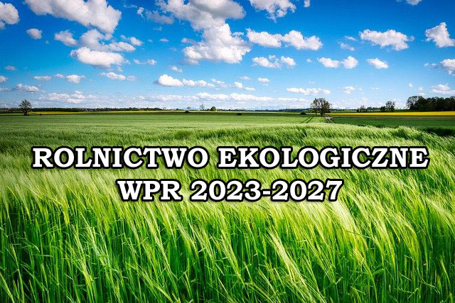 Plan Strategiczny WPR na lata 2023–2027 przewiduje dalsze wsparcie rolnictwa ekologicznego.