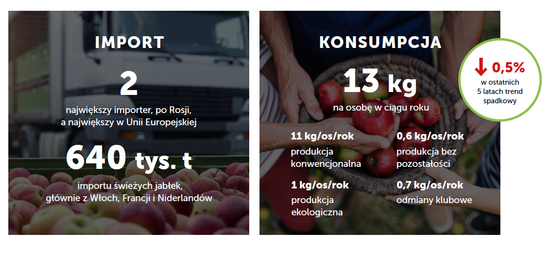 Podglądając sąsiadów: Niemcy - Import jabłek