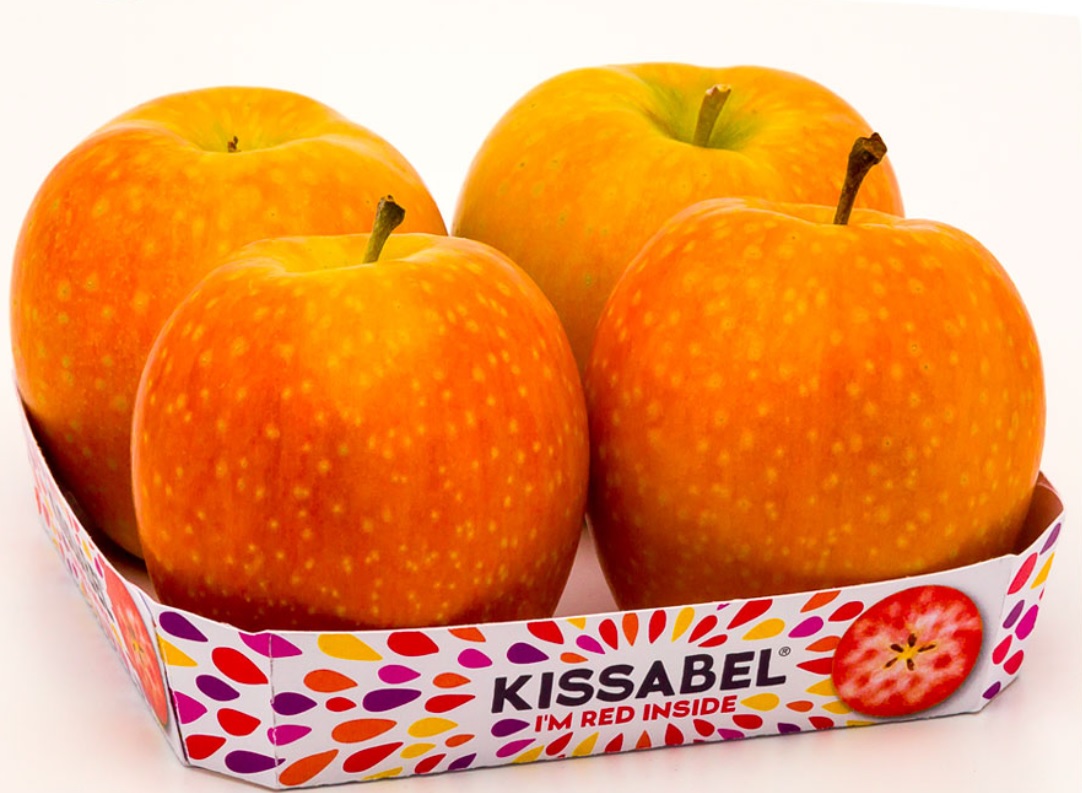 Kissabel, zaczyna się sezon na półkuli południowej