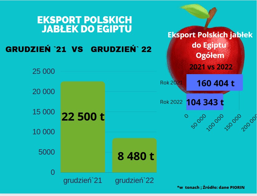 Drastycznie spadł eksport jabłek do Egiptu.