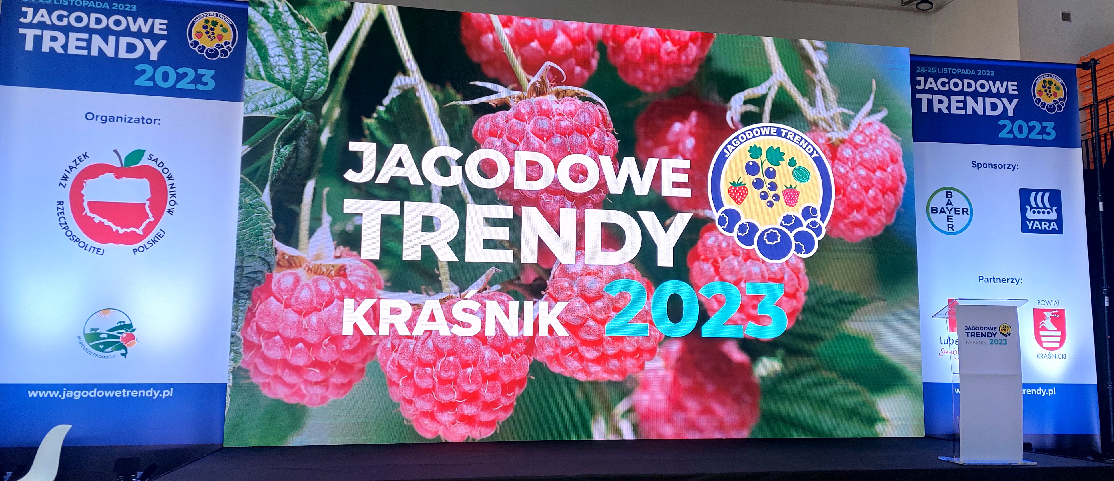 Jagodowe Trendy 2023-owocny czas!