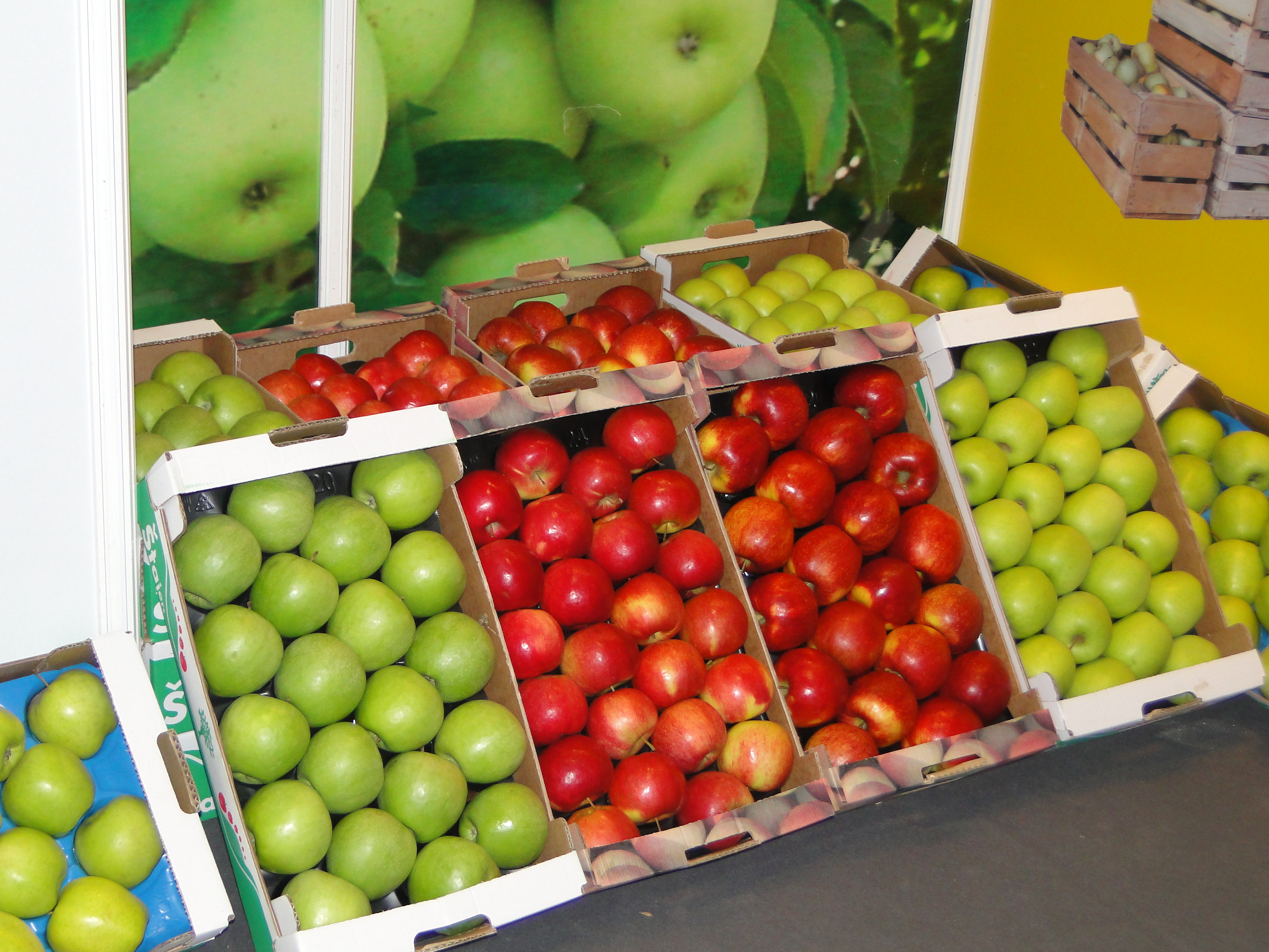 Hiszpania - Afrucat: kosty rosną, a ceny jabłek nie