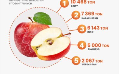 Gdzie eksportujemy nasze jabłka – luty
