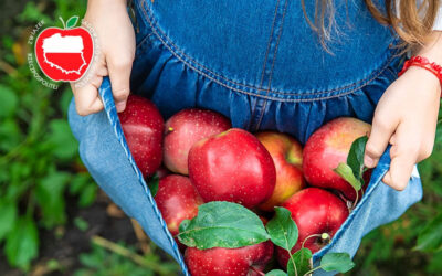 Co sadzić, żeby zarobić?