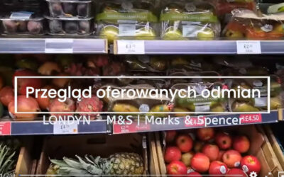 M&S LONDYN – przegląd oferowanych odmian