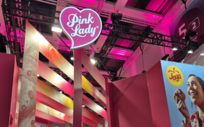 Pink Lady rośnie w siłę!
