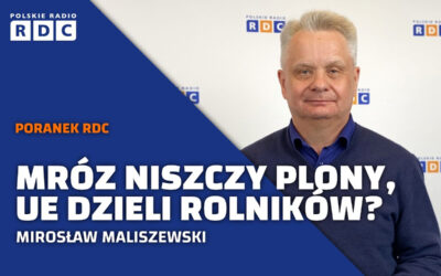 Mróz, koszty i przyszłość rolnictwa