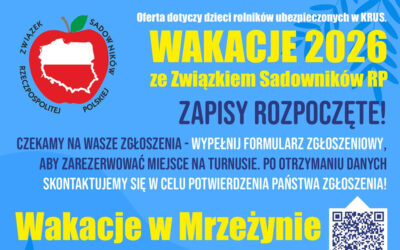 Na wakacje w góry czy nad morze?